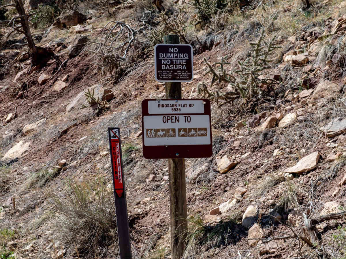 Dinosaur Flats Roads 5935B photo 2
