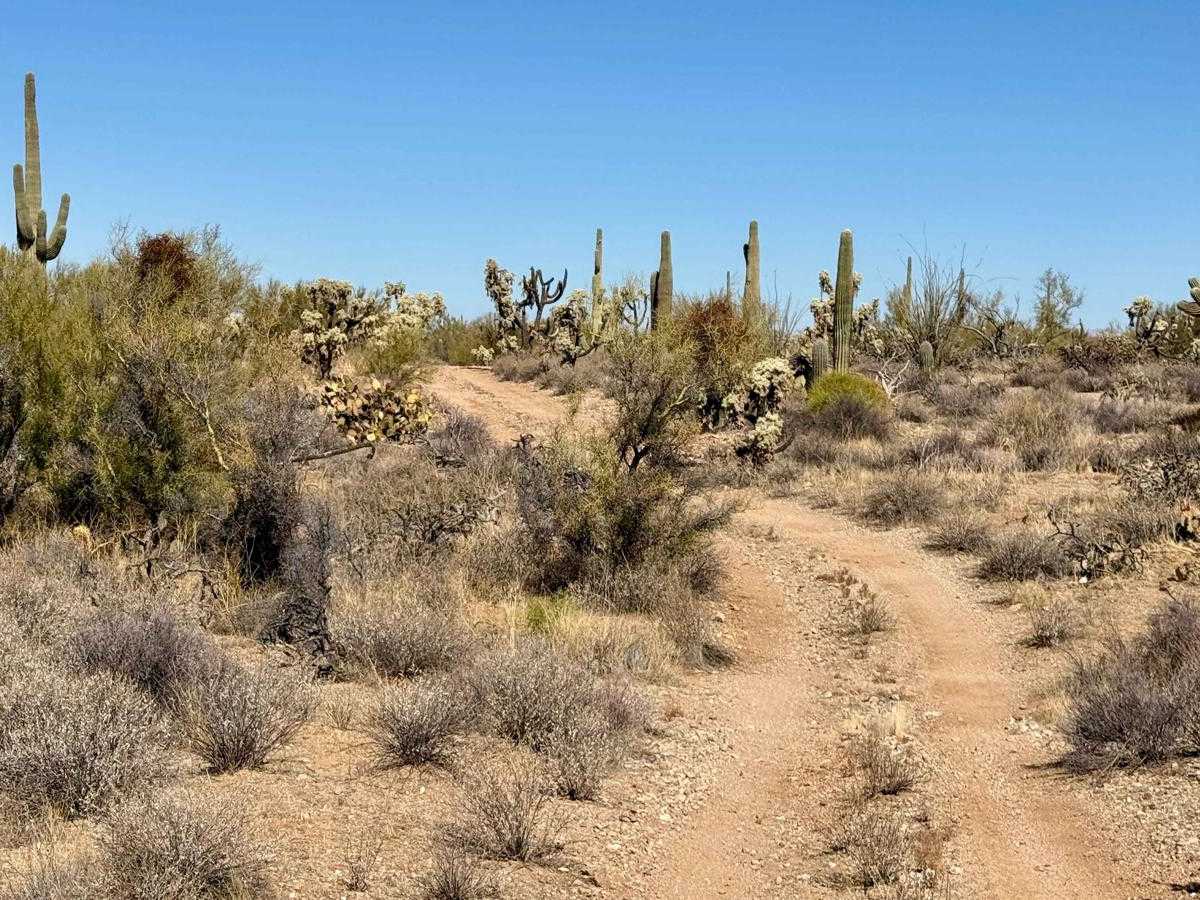 Quail Run photo 5