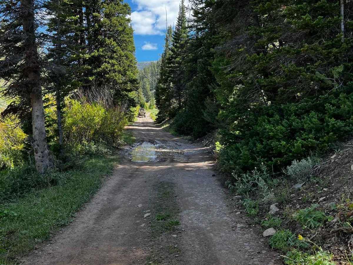 Big Fall Creek trail photo