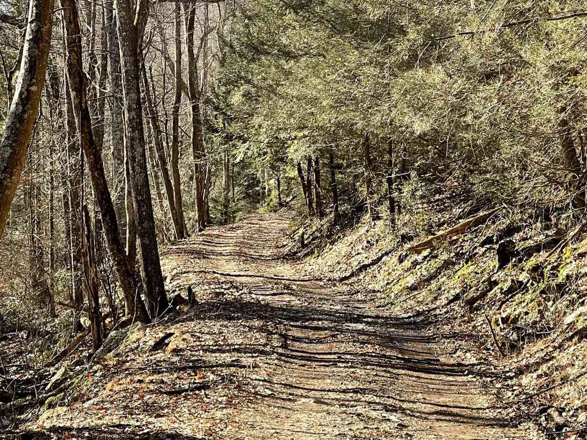 Knob Ridge Road Drivable Trail photo 6