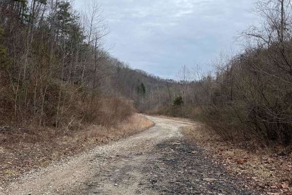 Trail 14 Cow Fork