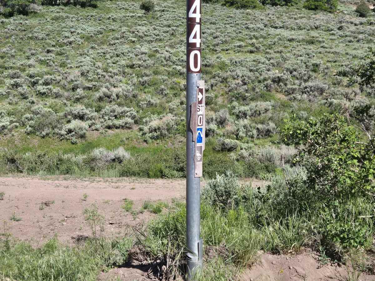 FSR 440 trail photo