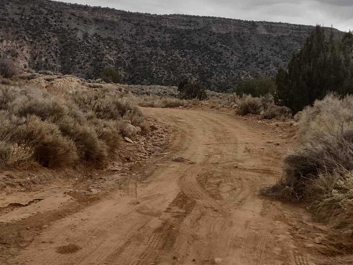 Cliffside Trail to Little Creek Mesa photo 3
