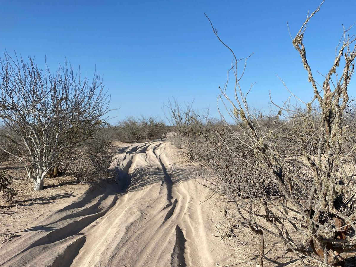 Off Middle Road photo 5