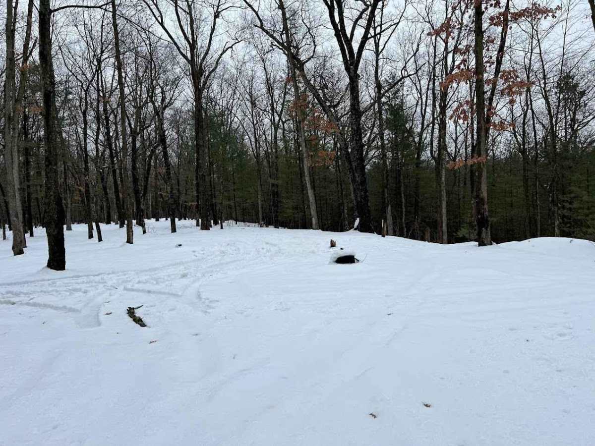 Whelan Lake Trail (NFS 6661/6716) photo 6