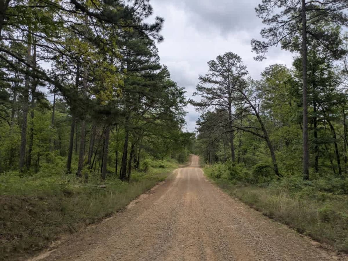 Spring Lake Road photo 2