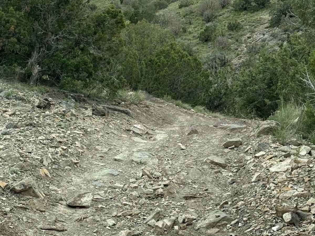 Lake Mountain Trail photo 2