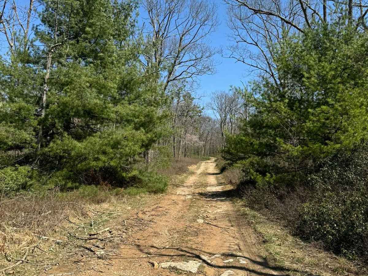 Gettis Ridge/Wampler Road photo 6
