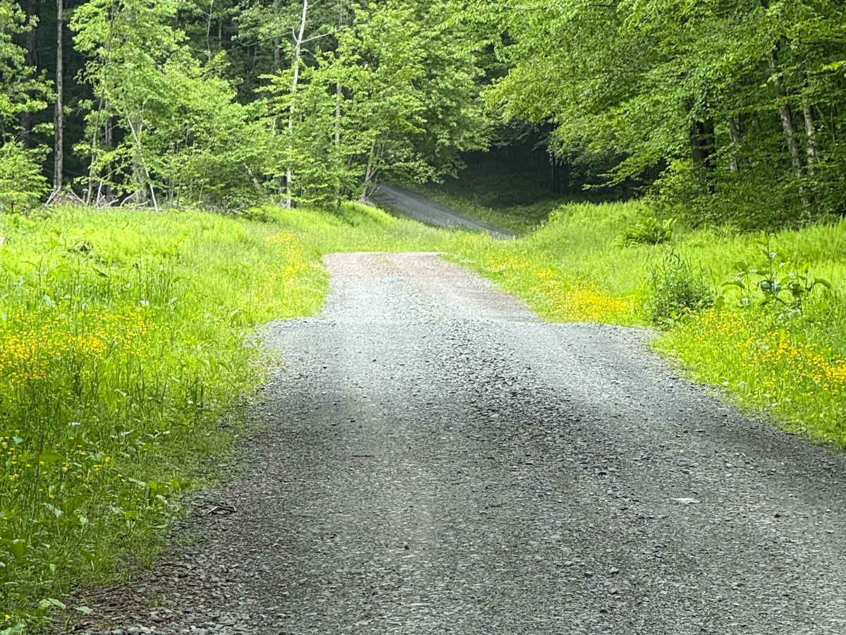 West Trout Brook Road photo 3