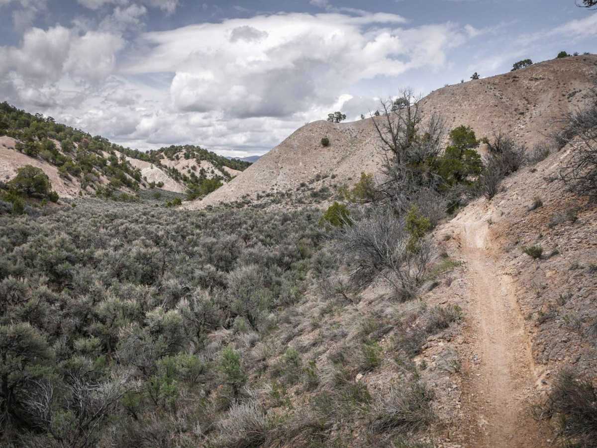 Tick Alley photo 6