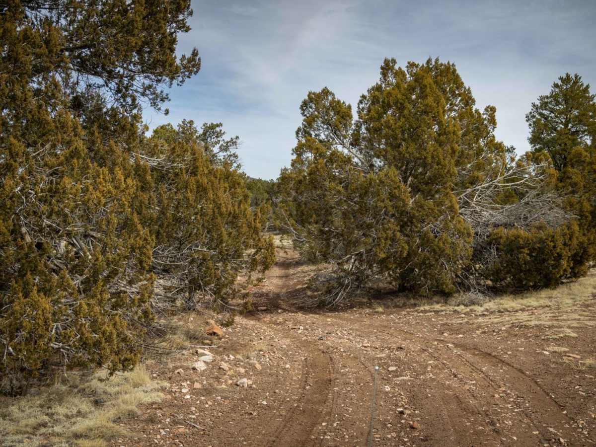 Indian Tank trail photo