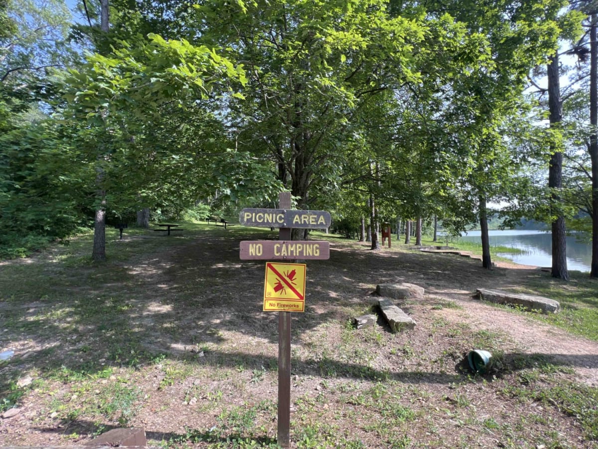 Leo Drey Forest 2221 photo 3