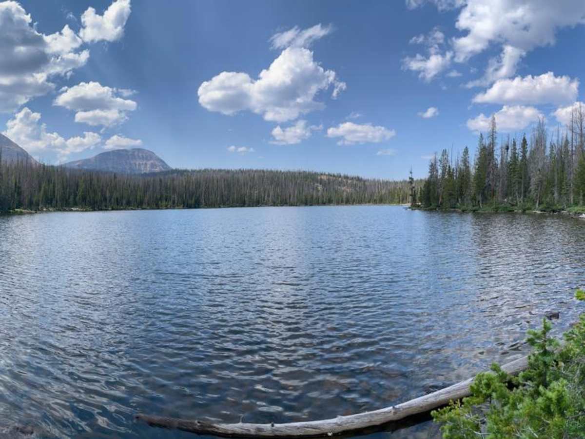 Murdock Basin - FR 80137 trail photo