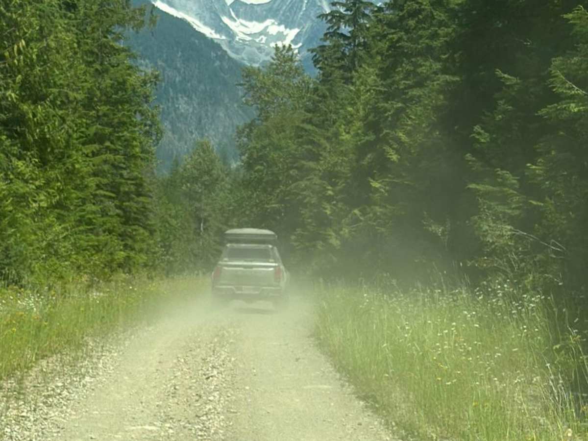 Glacier Creek FSR photo 4