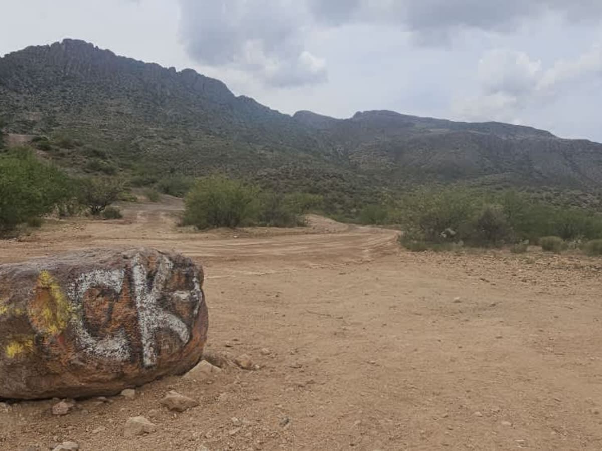 Walker Gulch to French Creek trail photo