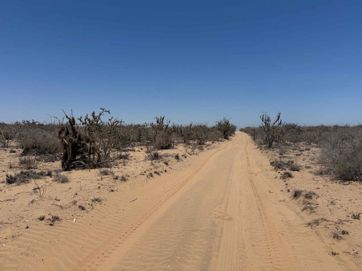 Campo Vicente Access photo 3