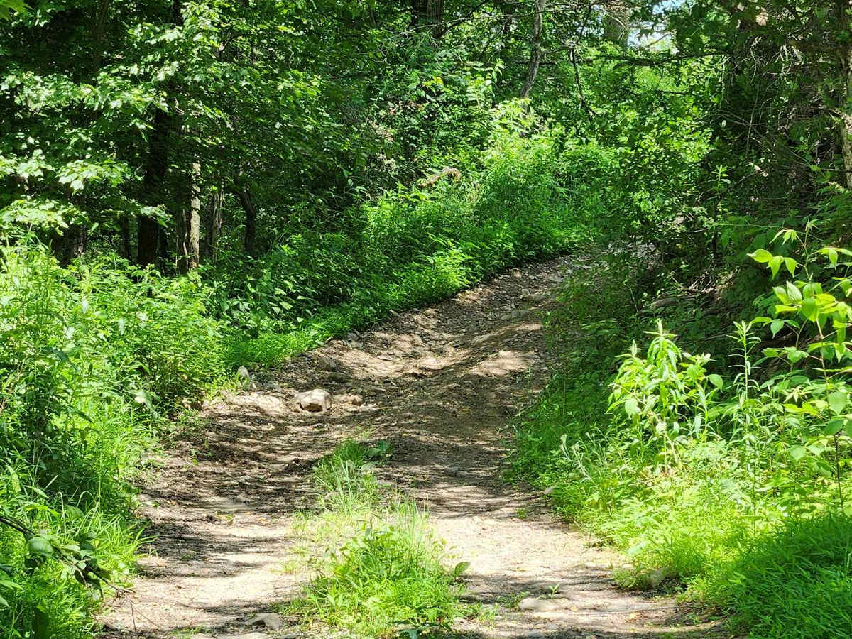 Trail 7A - Rock Run Recreation Area photo 5