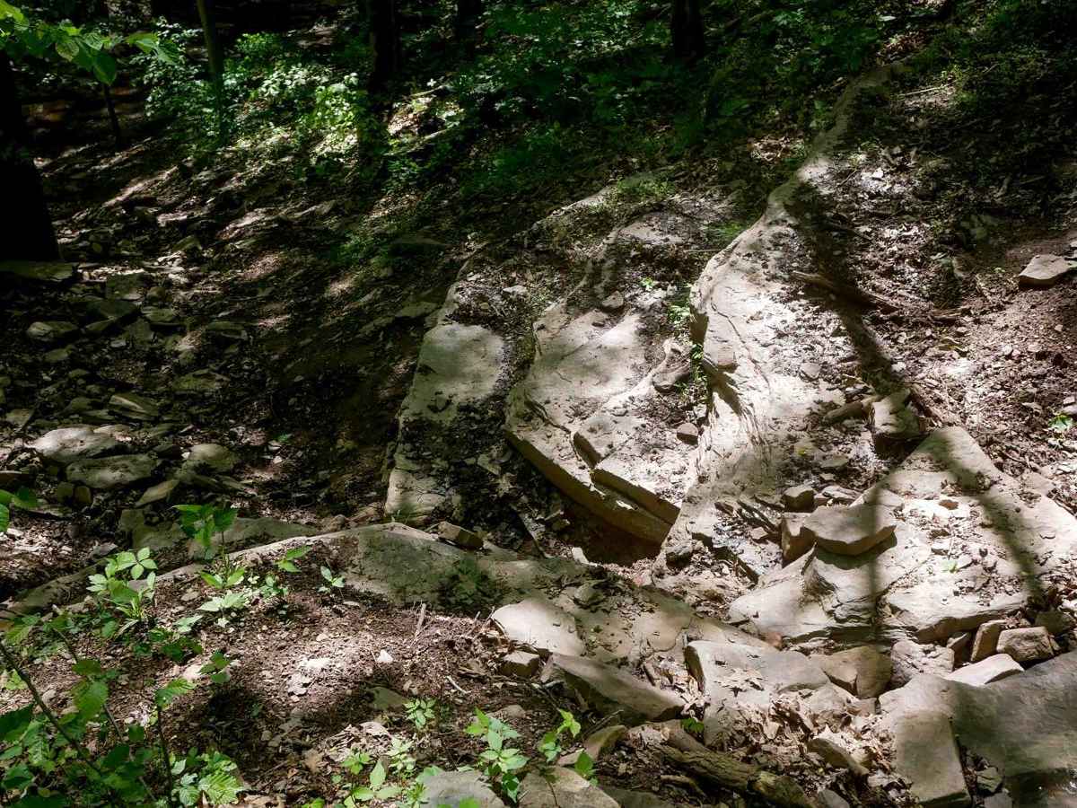 Trail 25 photo 3