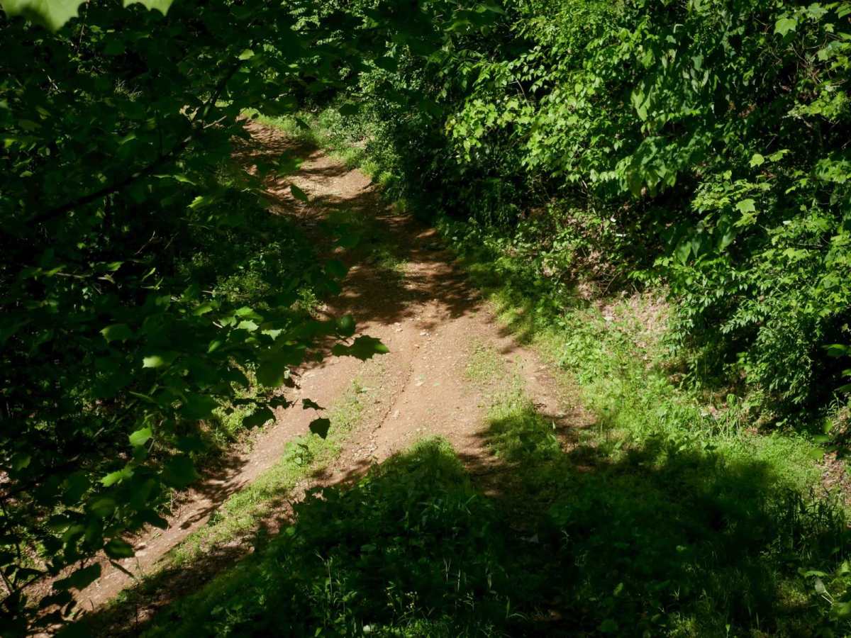 RV22 photo 5