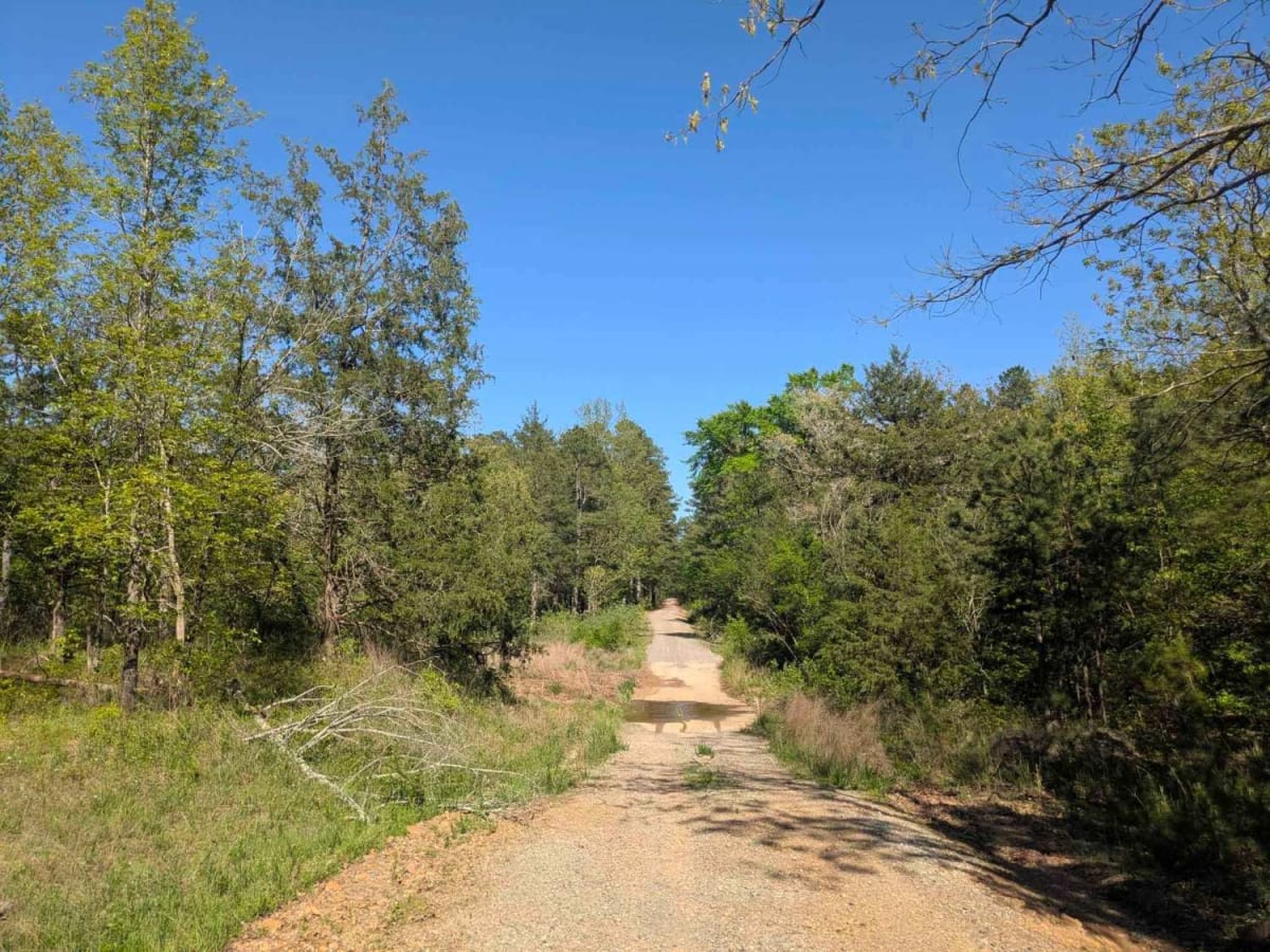 Pitfork Road photo 5