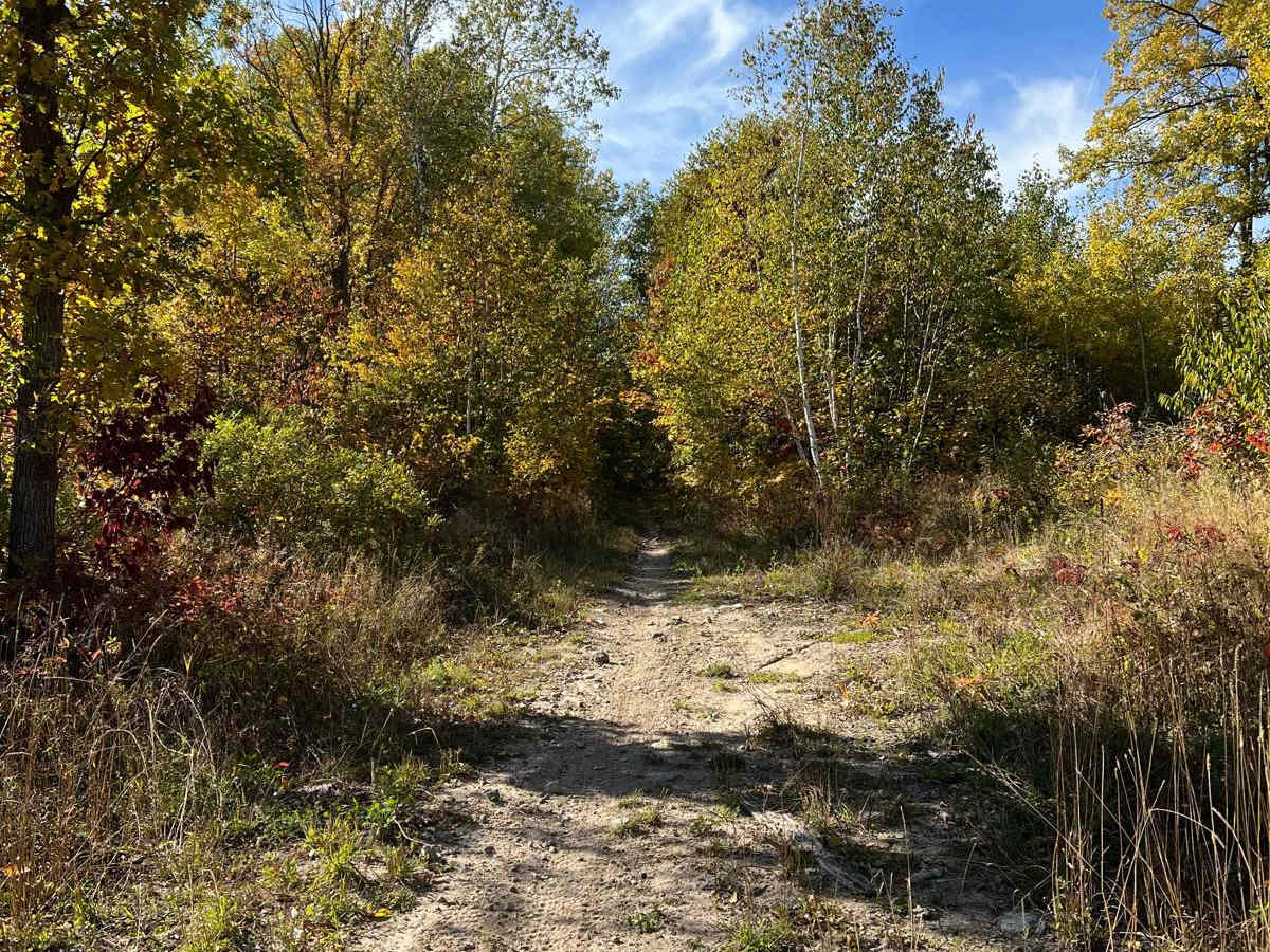 Paul Bunyan Single Track West Loop photo 6