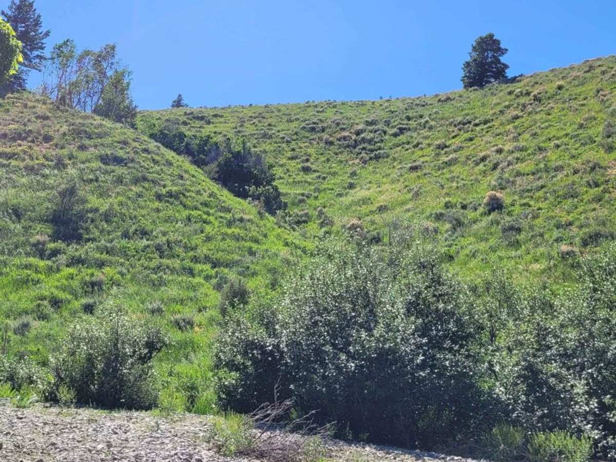 Hickman Canyon Road photo 4