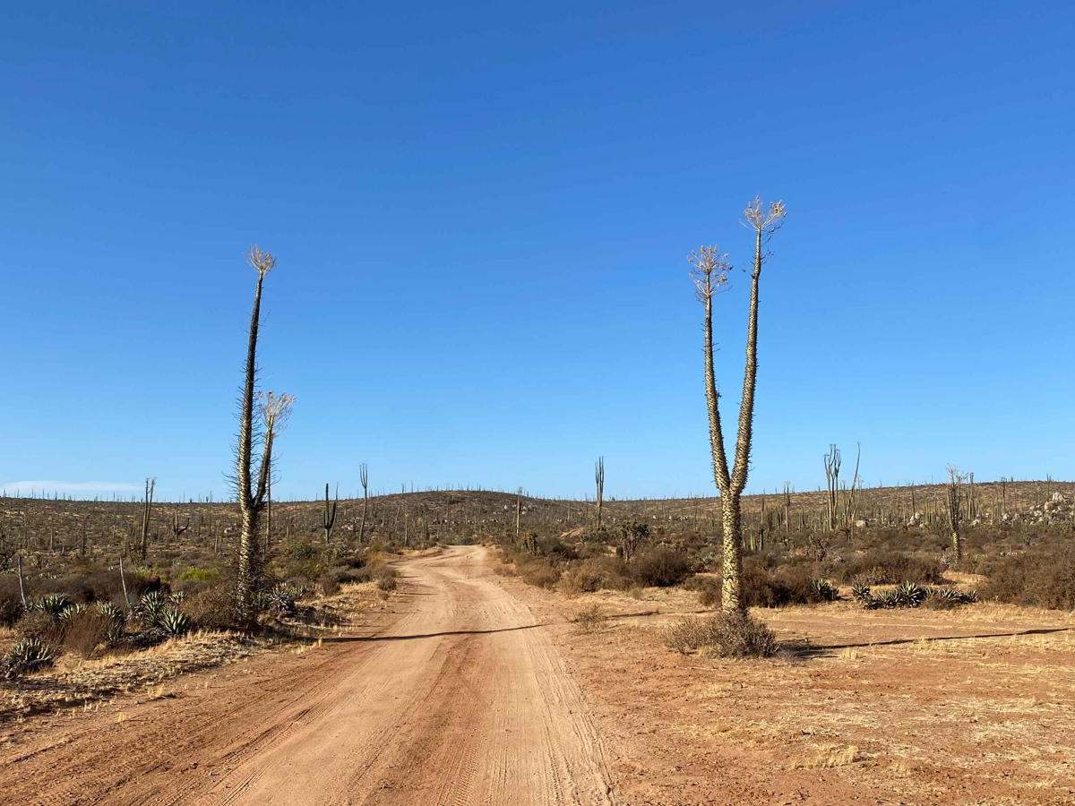 Los Martires trail photo