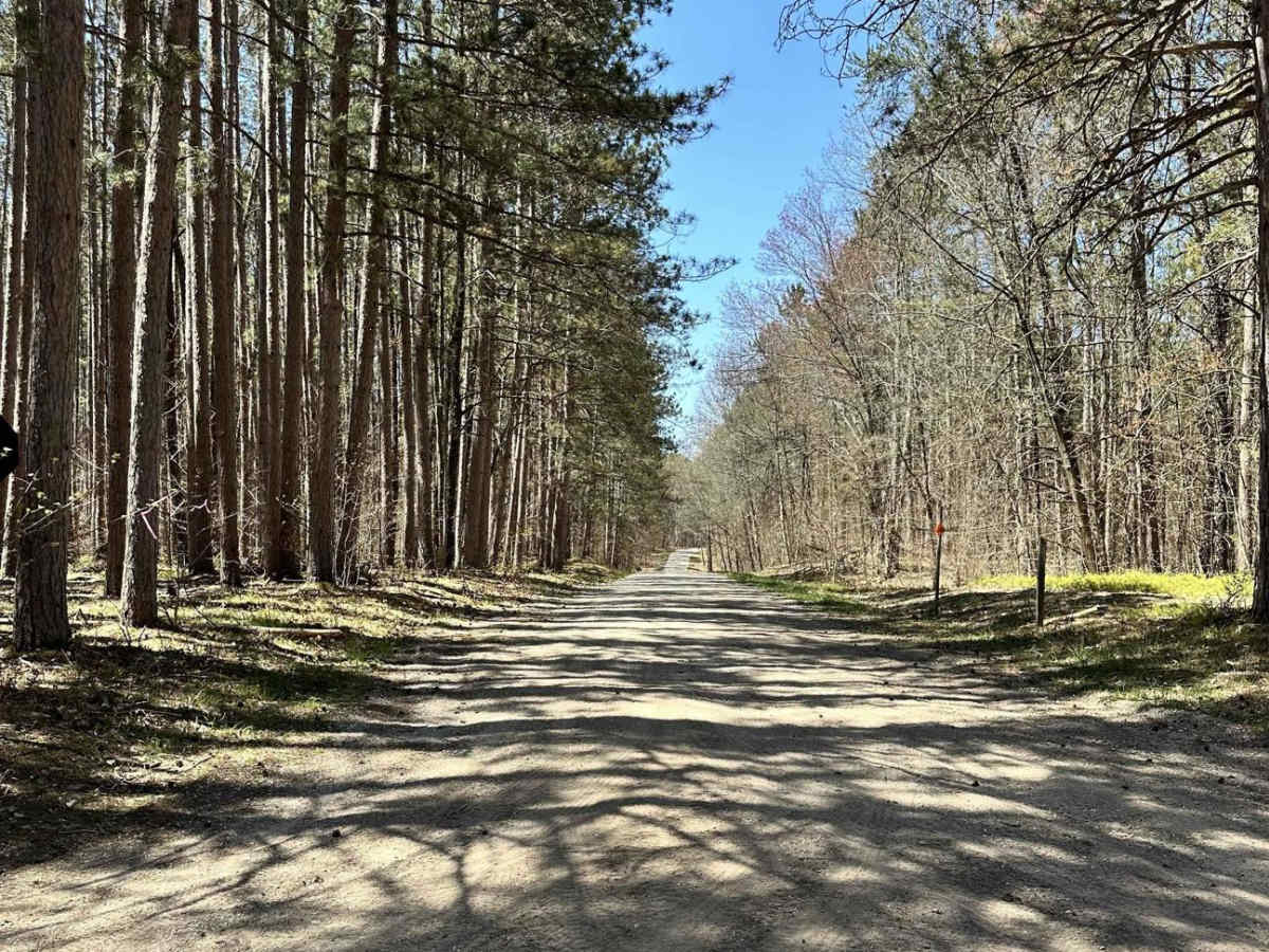 Cadillac Area ORV/OHV Scenic Ride - Part 16 photo 5