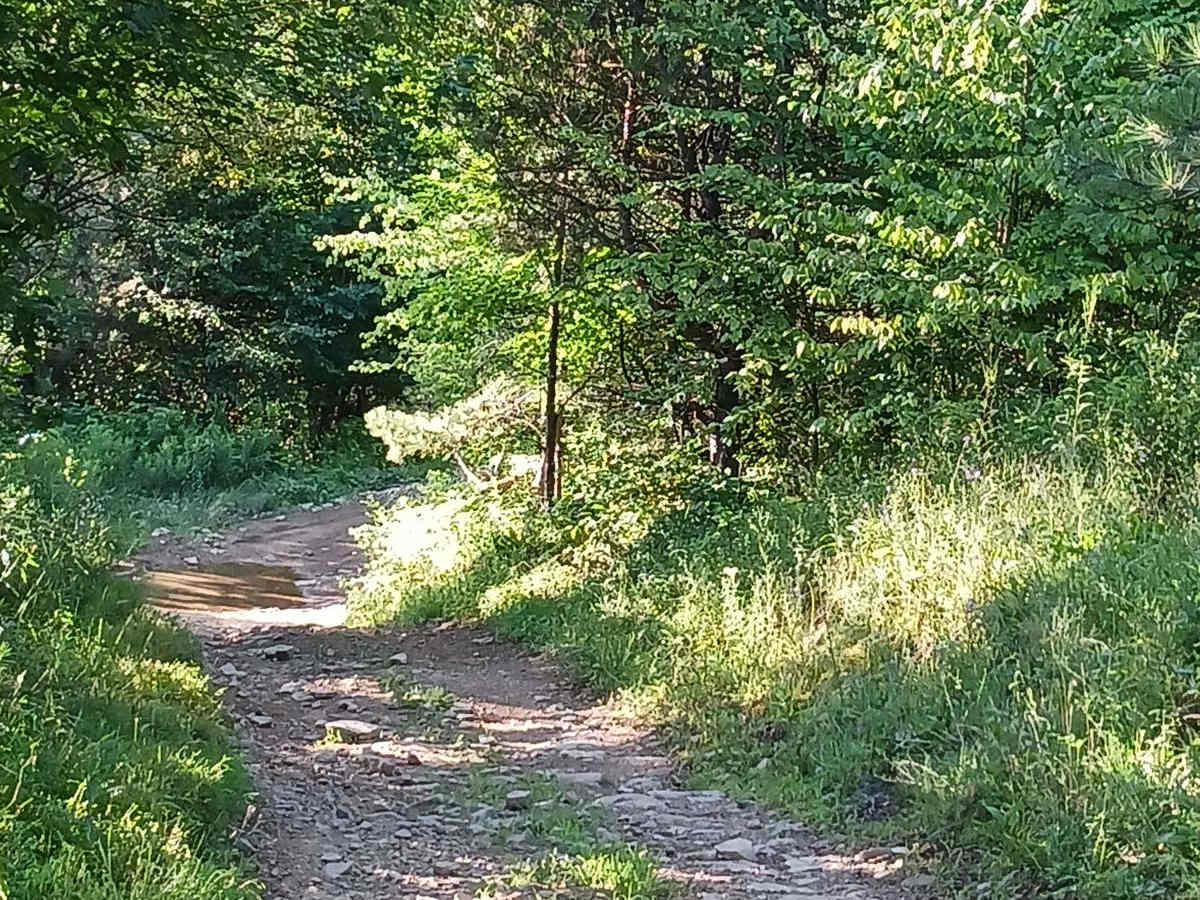 Trail 12C - Rock Run Recreation Area photo 6