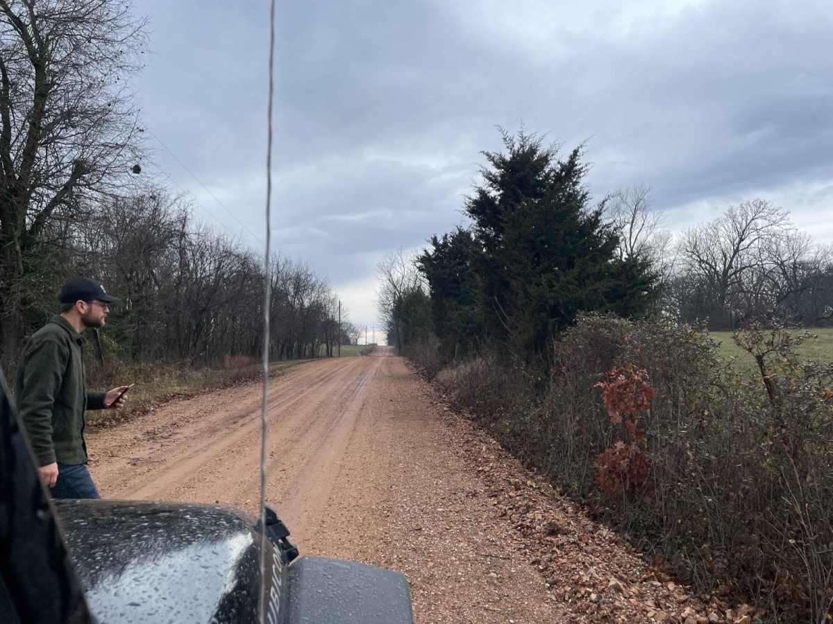 Palm Dirt Road photo 2