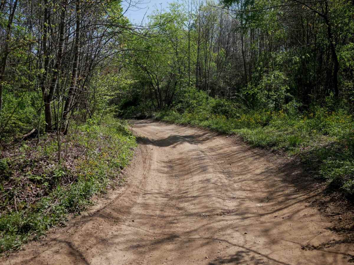 P31 trail photo