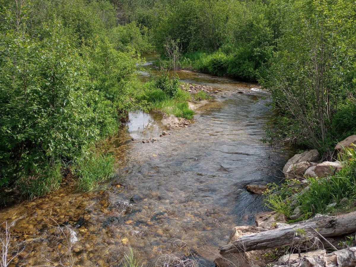 Brickel Creek Road photo 5
