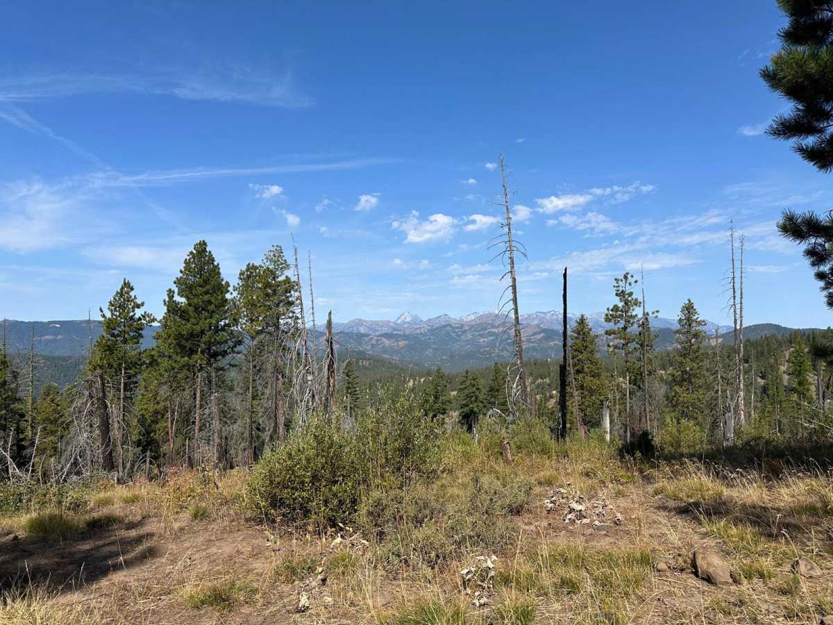 Veterans Trail trail photo