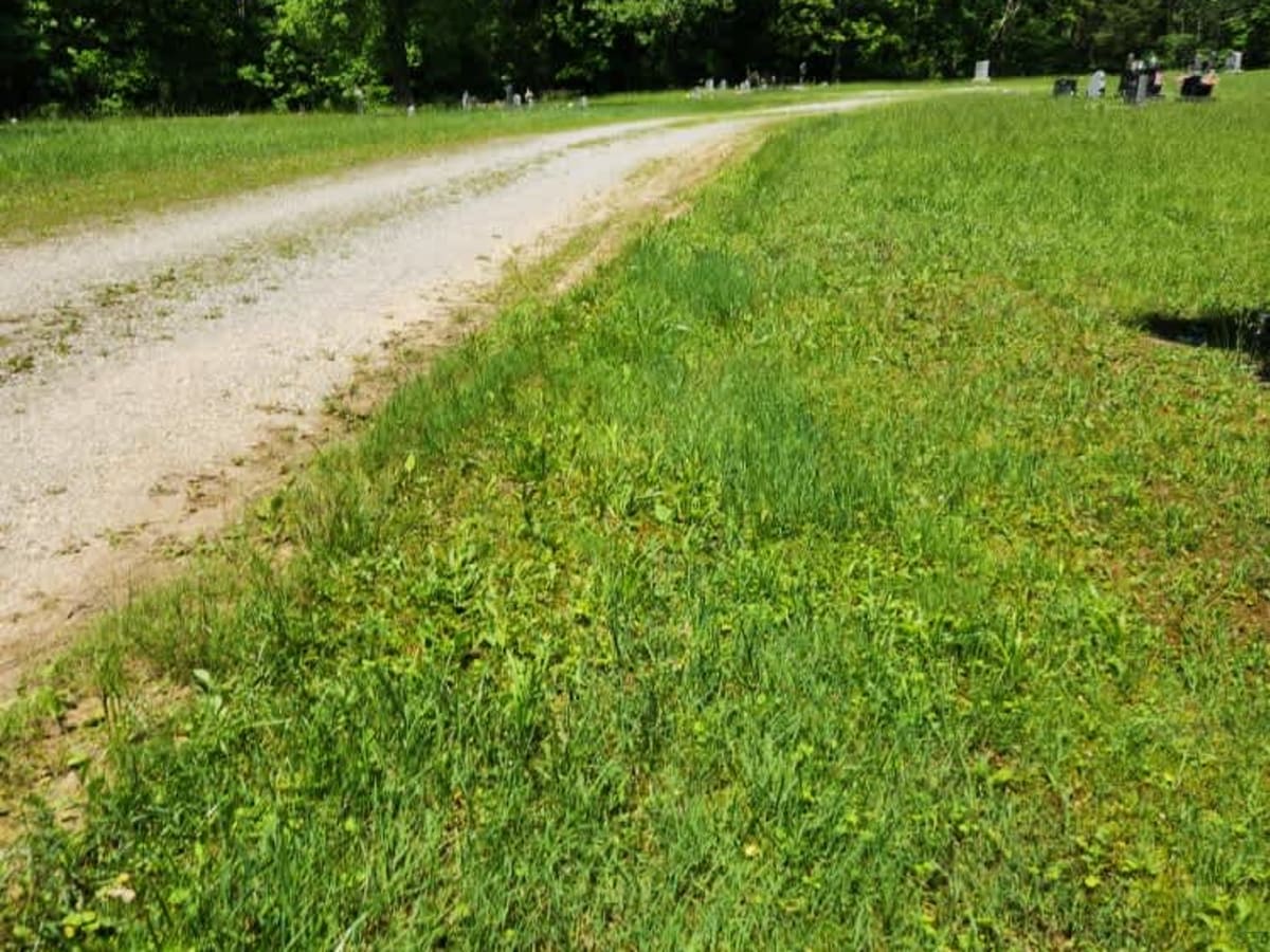 Abner Run Road photo 2