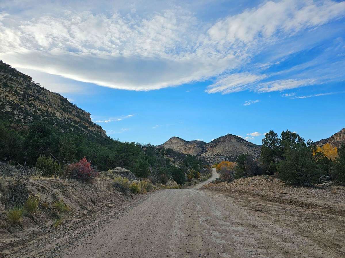 North Creek Road photo 6