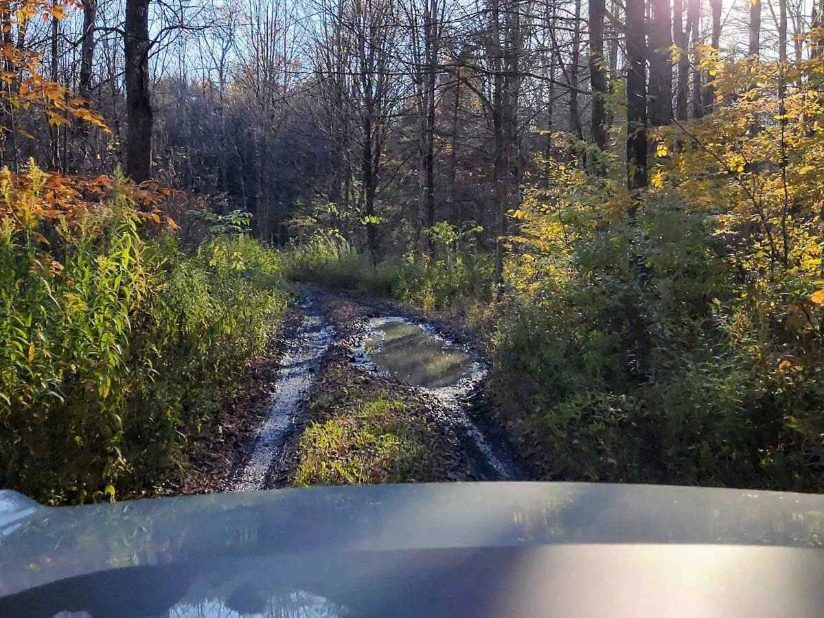 Hertz Road & Buck Hill Truck Trail photo 5