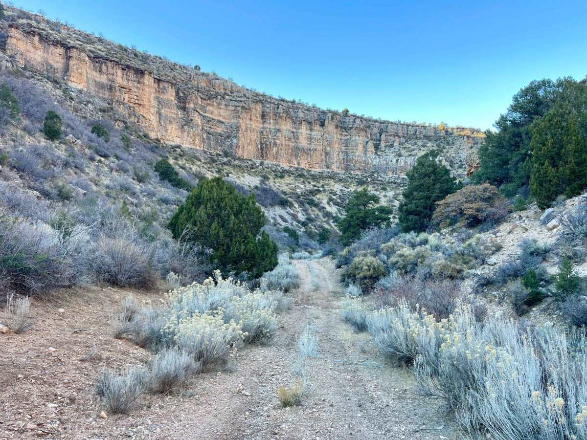 Rattlesnake Canyon 1054 trail photo