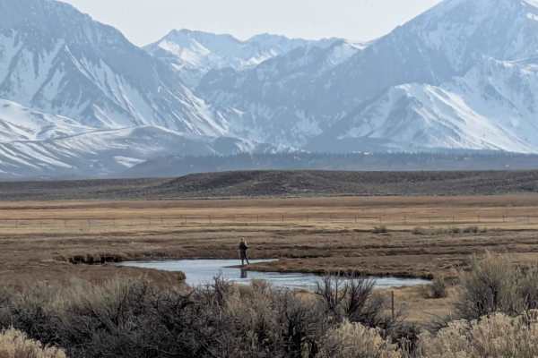 O'Harrel Cyn Spur - FS 3S47A