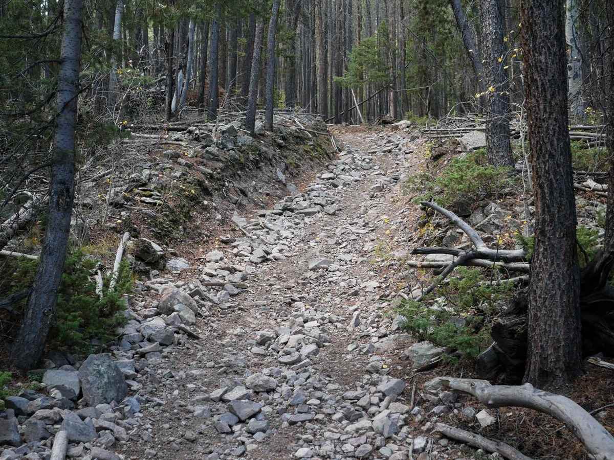 Left Hand ATV Trail photo 3