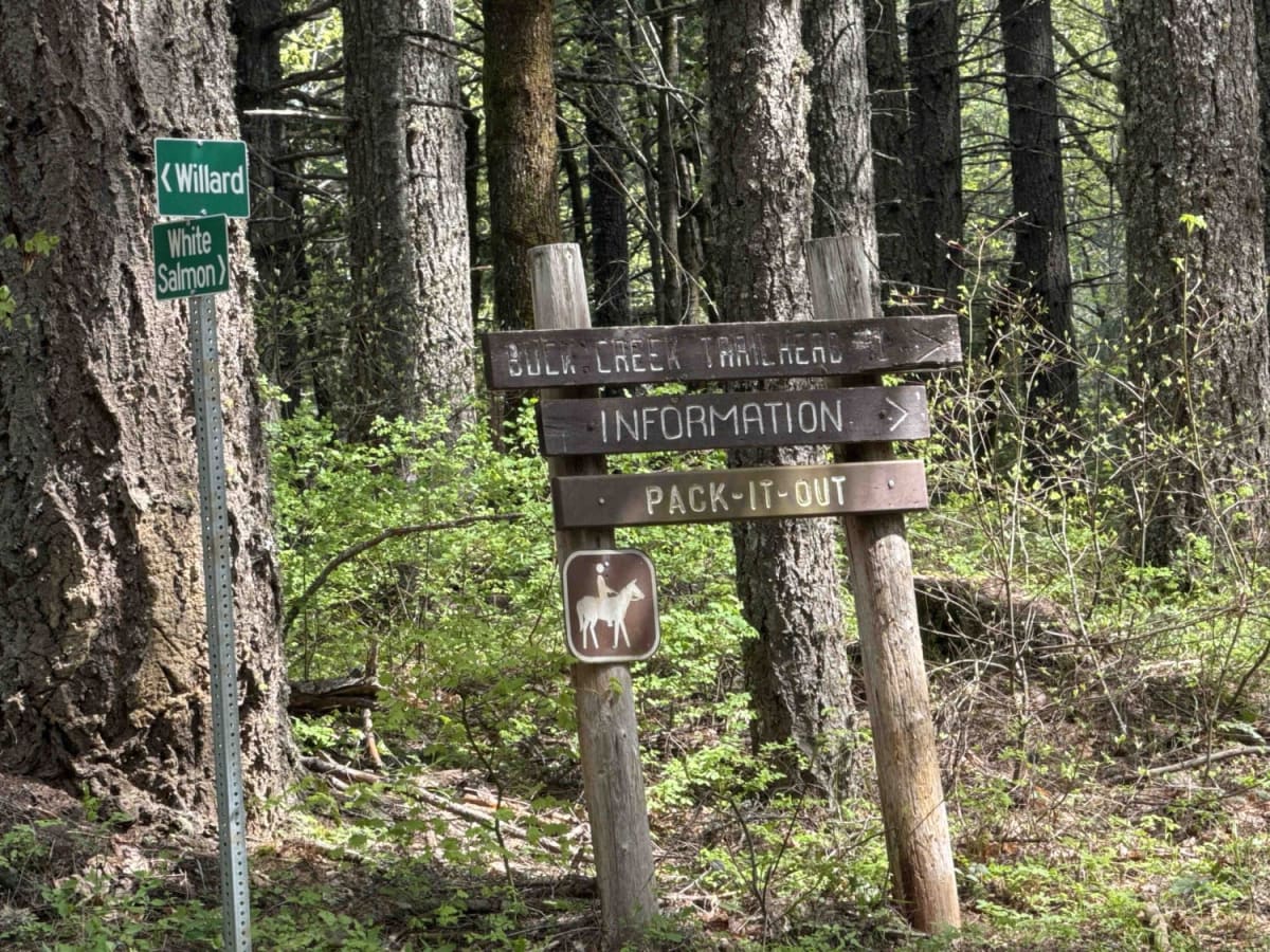 Buck Creek N-1000 to Little Baldy Peak photo 2