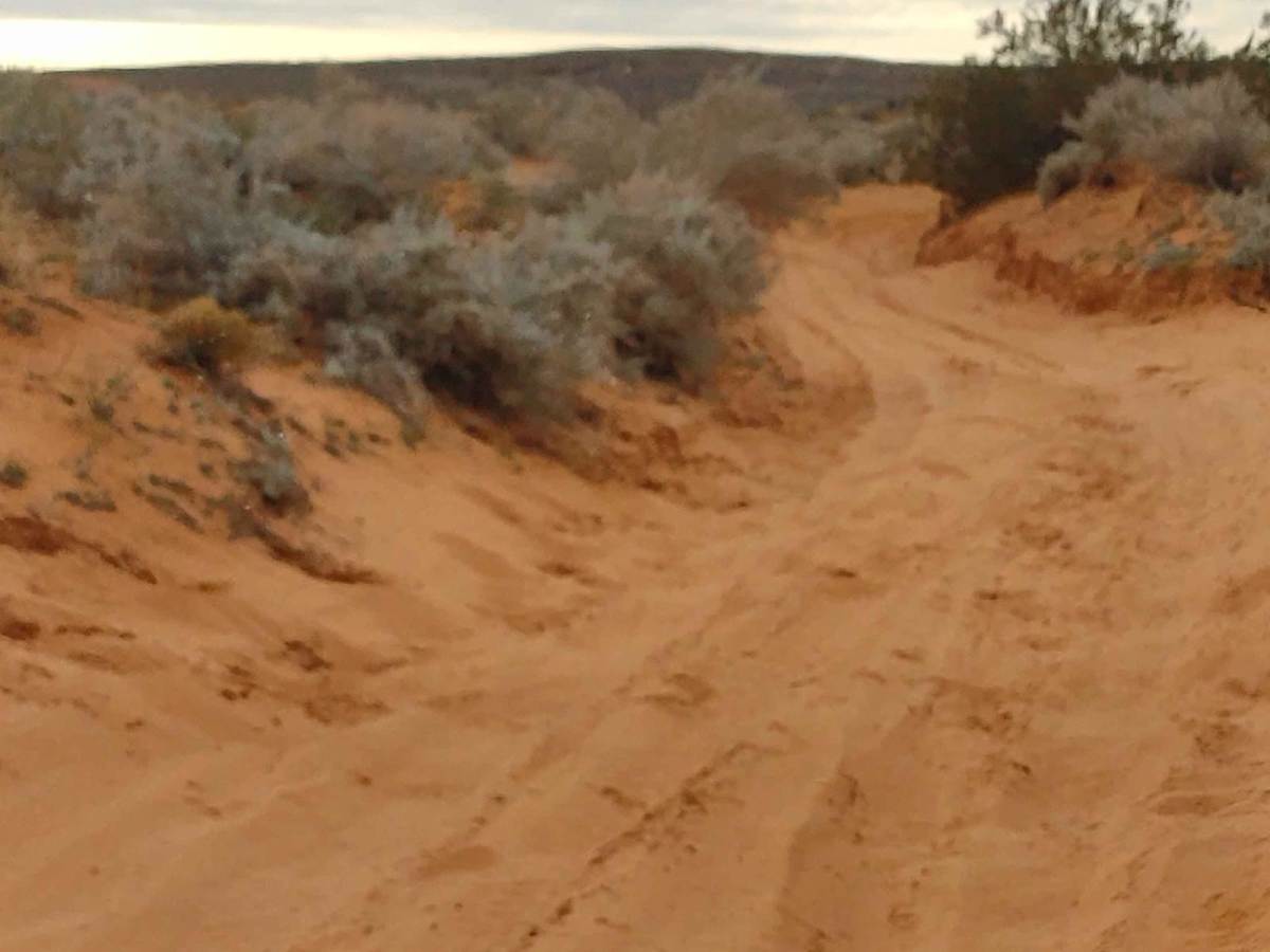 East Razzle Dazzle Slalom trail photo