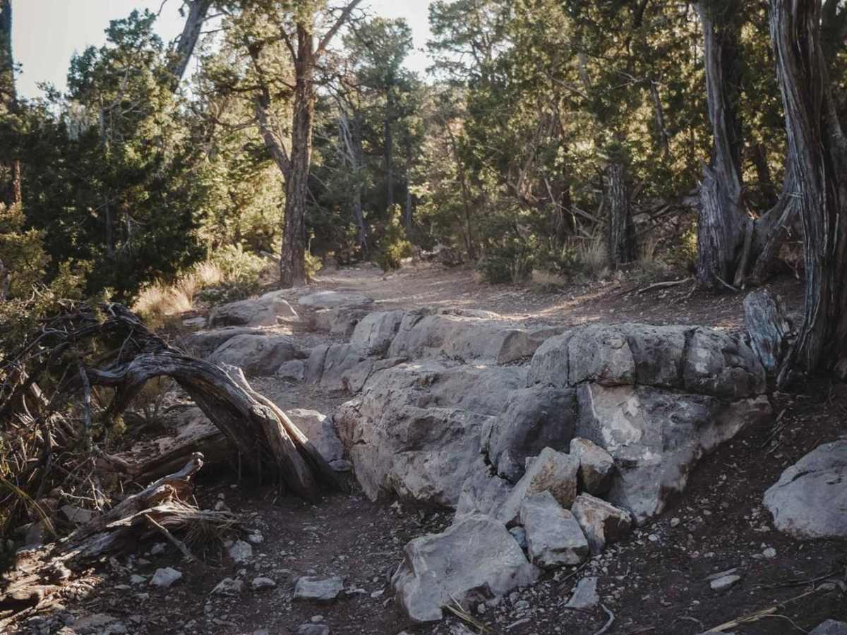 West Ridge photo 5