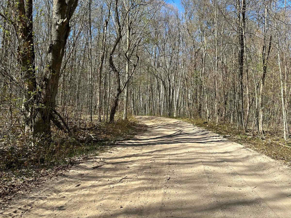 Cadillac Area ORV/OHV Scenic Ride - 9930 photo 3