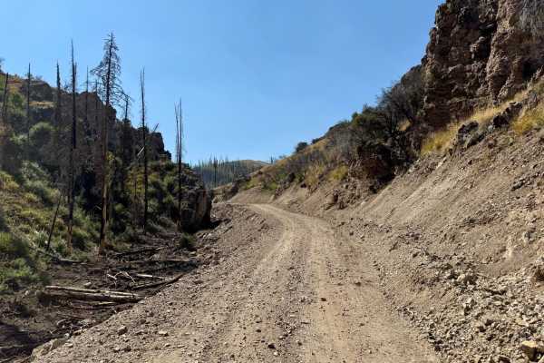 Trapper Creek - FS533
