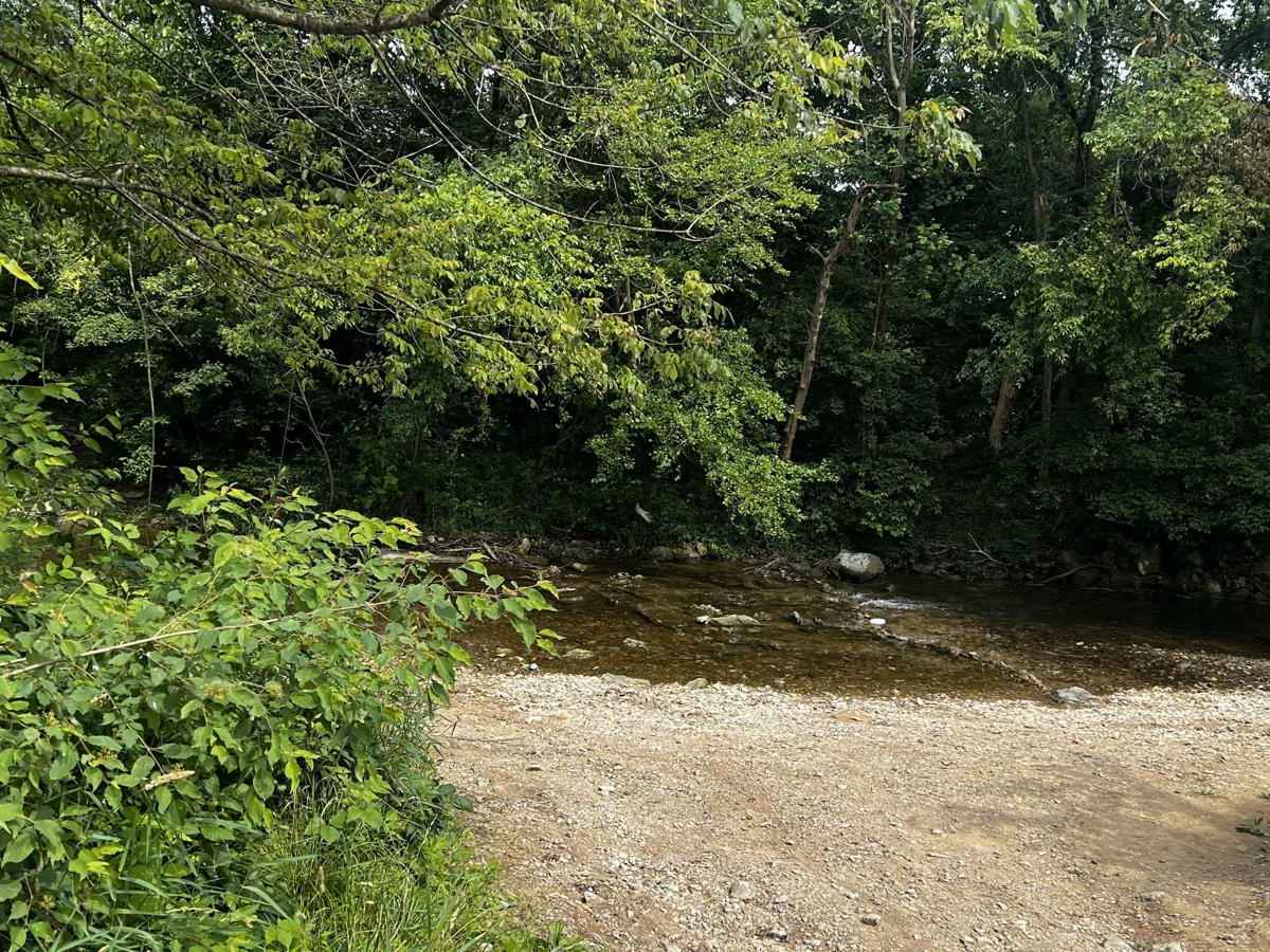 Clear Creek photo 6