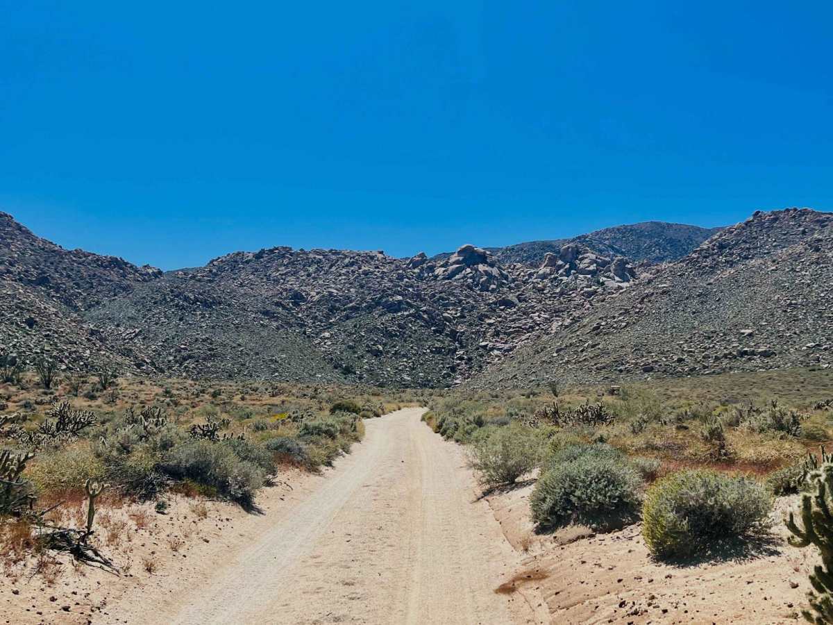Jojoba Canyon photo 2