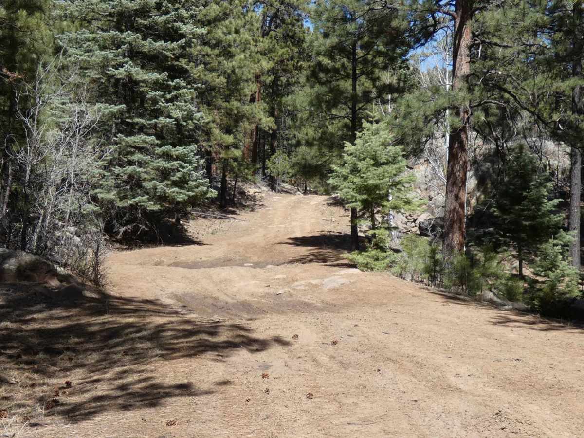 Big Rock trail photo