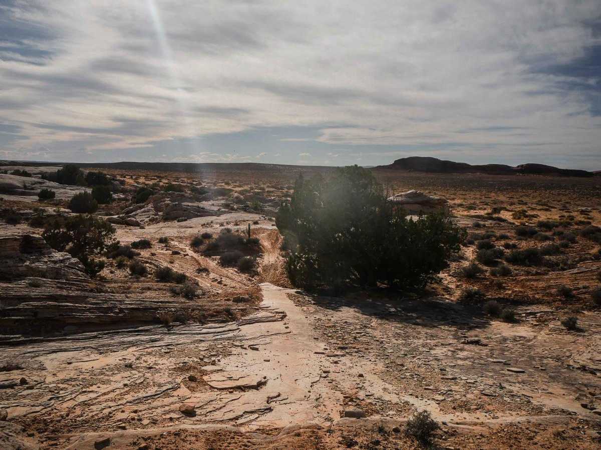 Pinnacle Trail photo 3