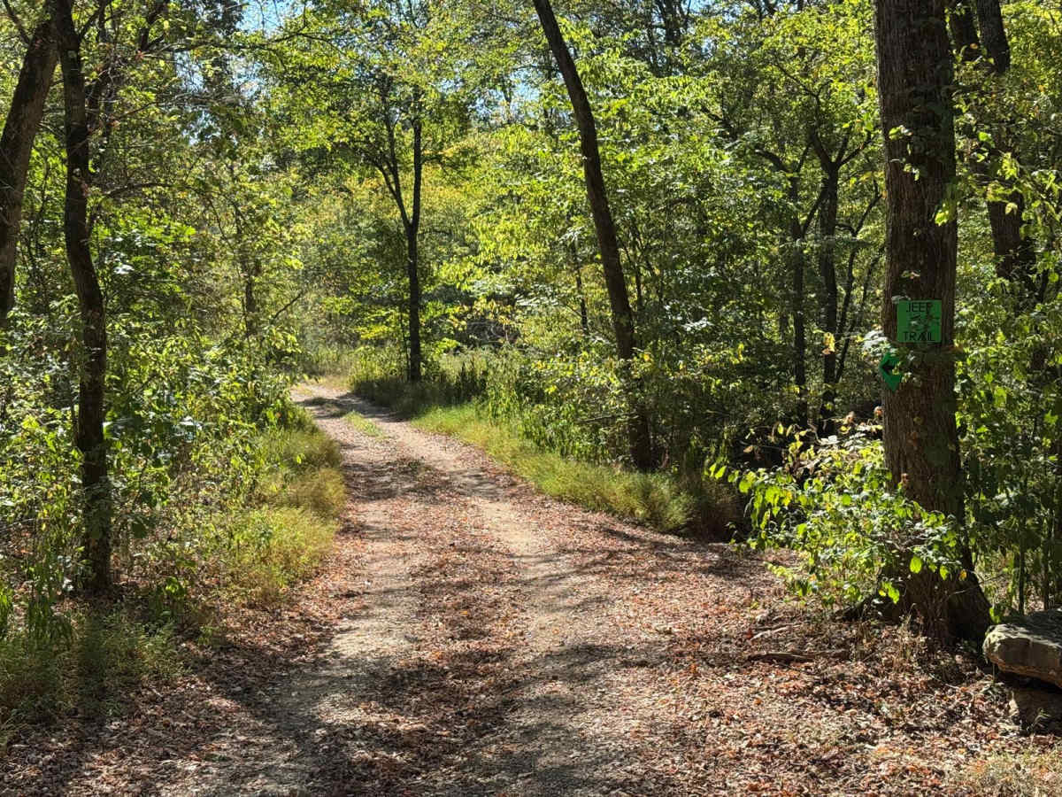 Green 10 trail photo