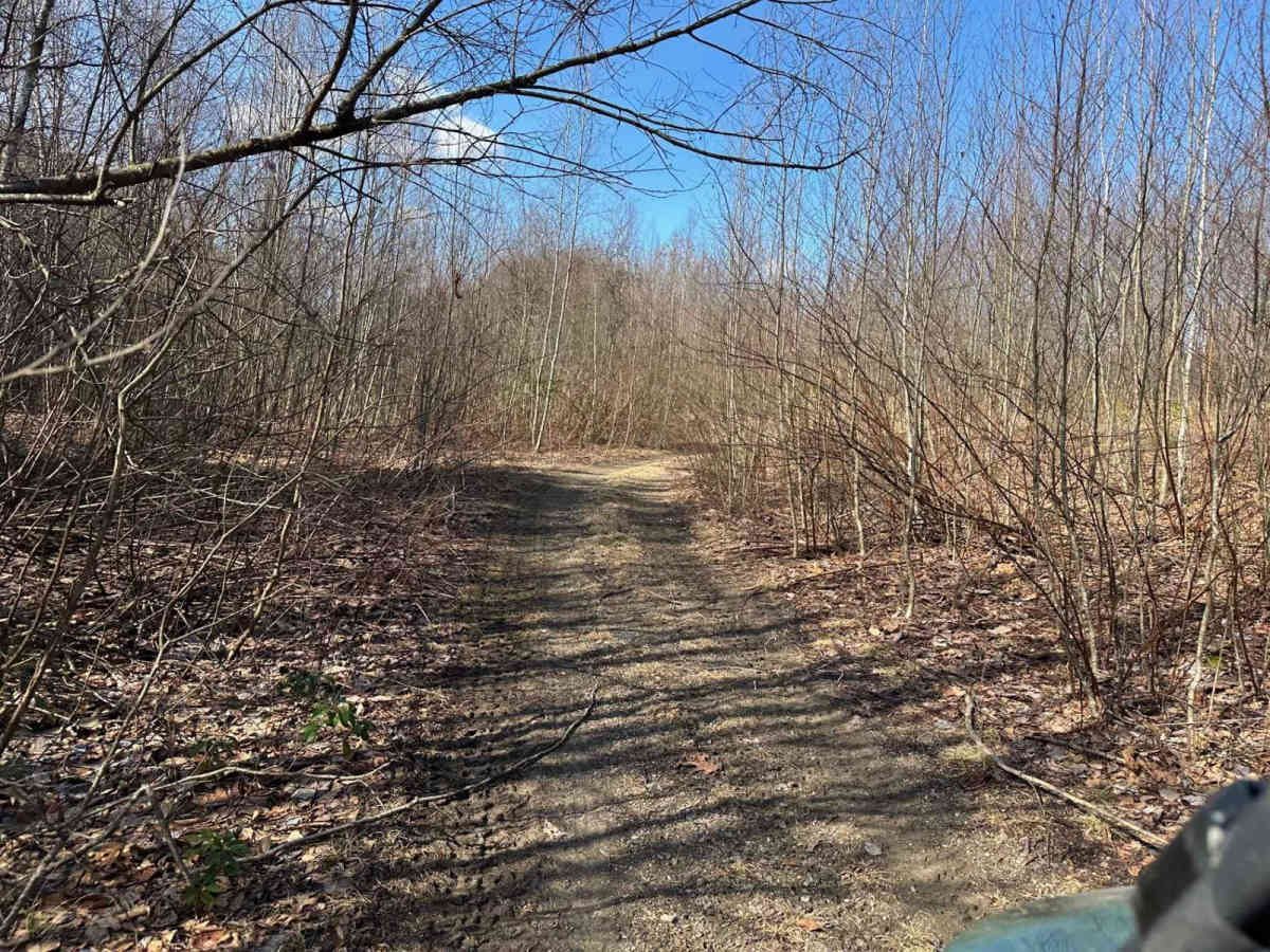 Locust Gap 43 trail photo